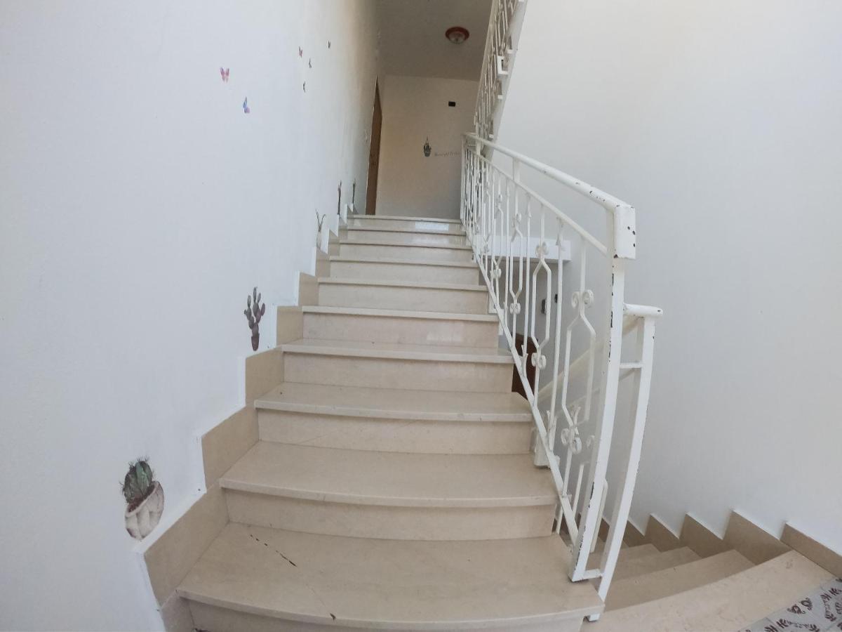 Apartmán Cactus House Olbia Exteriér fotografie